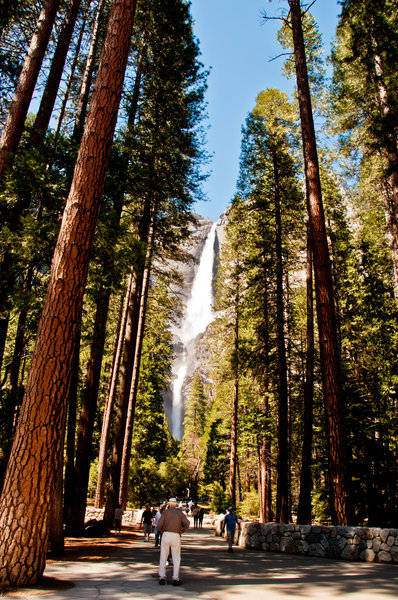 The Upper and Lower Yosemite Falls