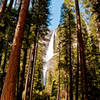 The Upper and Lower Yosemite Falls