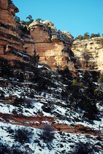 Wintertime on South Bass Trail.