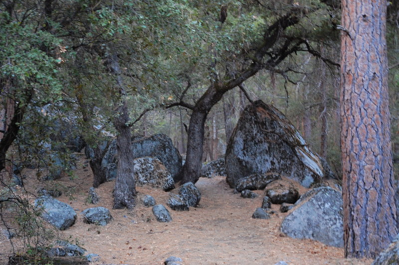 Heading to Mirror Lake.