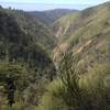 Looking towards the ocean, high above the Big Sur River