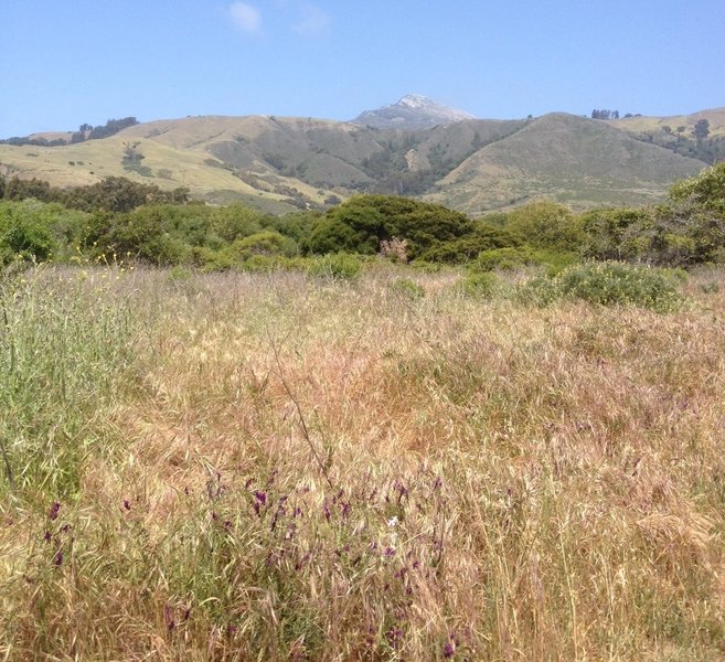 Big mountain views as you head up the Beach Trail