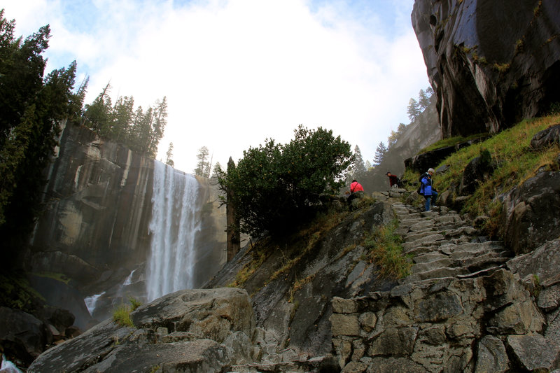 Looking up the trail