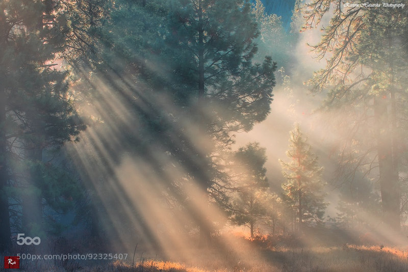 A Yosemite morning.