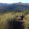 Views from the Leith Saddle Track