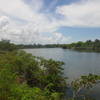 Looking out at the canal near the end of the Black Island Trail.