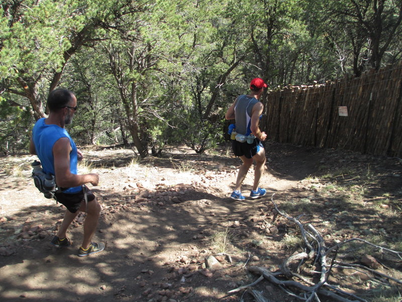 Steep switchbacks in the trees.