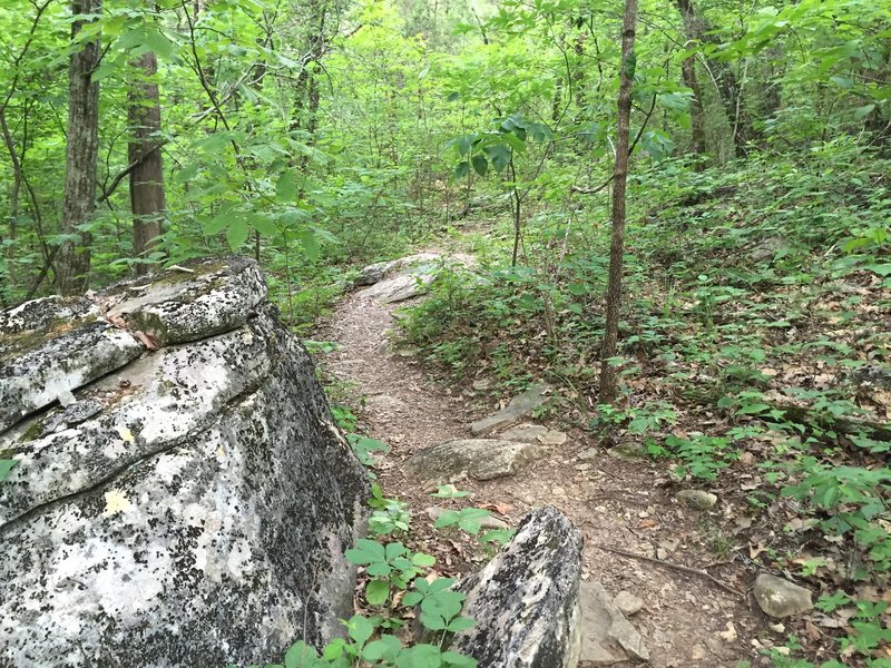 End of the Spring Trail