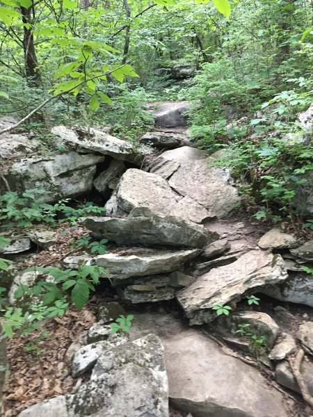 Abundant rocks on the Rainbow Loop