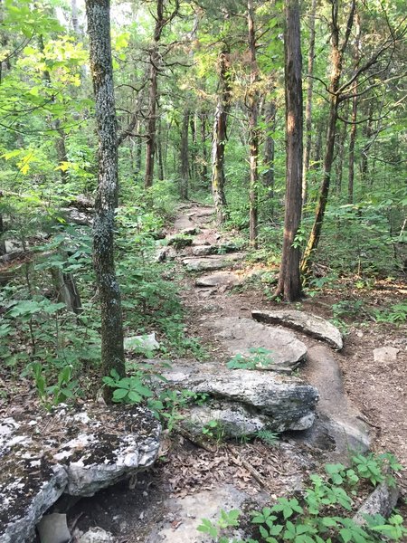 Rocky section near the beginning of the Ja Moo Koo Trail.