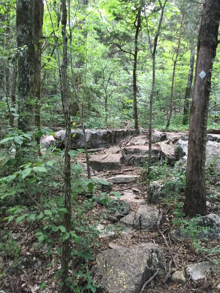 Rocks, and more rocks on Rainbow Mountain.