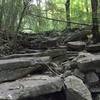 Creek bed off of Spring Trail