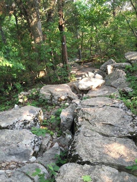 Be sure not to catch your toes in these rocks on the Rainbow Loop trail.