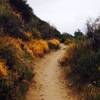 Flat, sandy trail and lovely flora along the link trail.