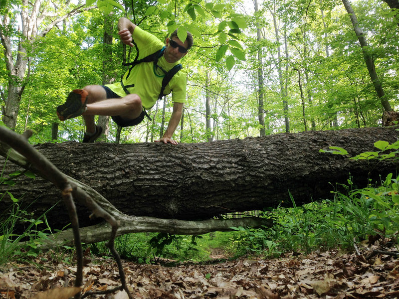 Hurdling one of the bigger downed trees across the Dry Prong. It was fun.