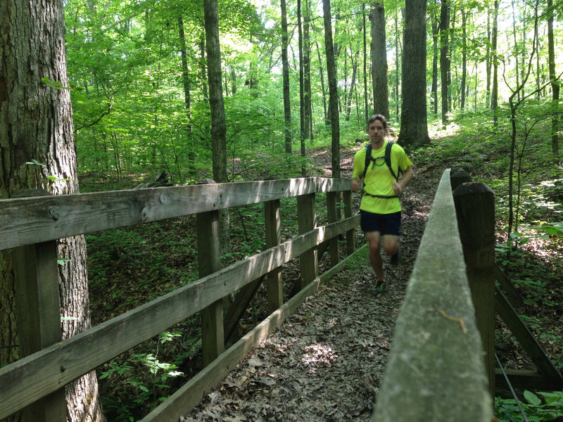 Neat bridge crossing just past the Homestead Campsite intersection.