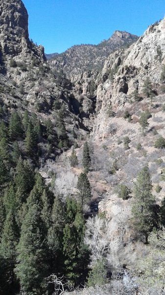 Getting into the heart of it on the Creek Trail