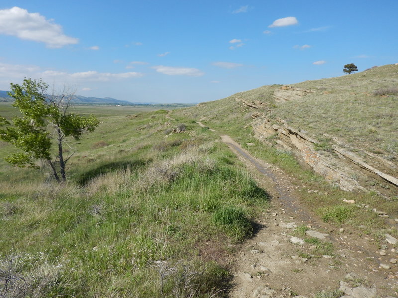 Layered shelves of rock along the western end of the Cobalt Trail