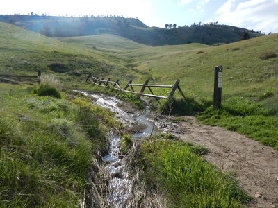 Junction of Foothills North Trial with Foothills Bench Trail