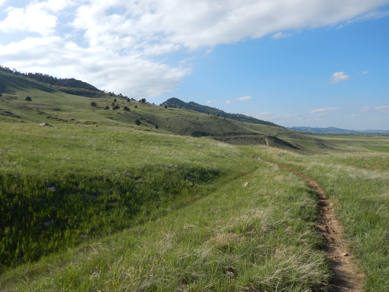 Typical rolling terrain on the Foothills Bench Trail