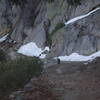 Bobcat, Yosemite National Park