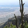 View from Sandia Peak