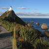 Nugget Point