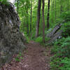 Limestone formations along Mountain Mist trail.