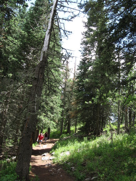 Easy crest line hiking from Tram