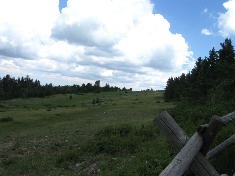 Meadow just below Kiwanis Cabin