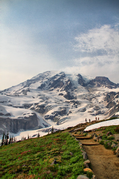 Mt. Rainier