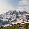 Mt. Rainier