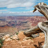 Grand Canyon view...