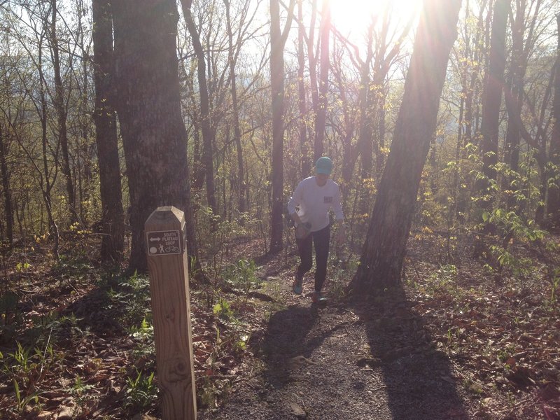 Trail runner exiting Mountain Mist Trail on to the Southern Plateau Loop