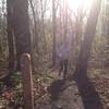 Trail runner exiting Mountain Mist Trail on to the Southern Plateau Loop