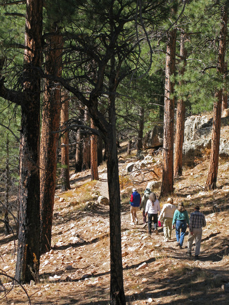 Grand Canyon National Park - Cliff Springs Trail