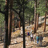 Grand Canyon National Park - Cliff Springs Trail