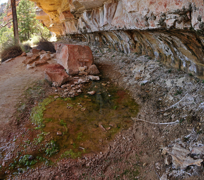 Grand Canyon Cliff Springs