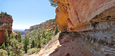 Grand Canyon, Cliff Springs Trail