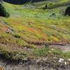 Walking down a winding path to the alpine lakes.