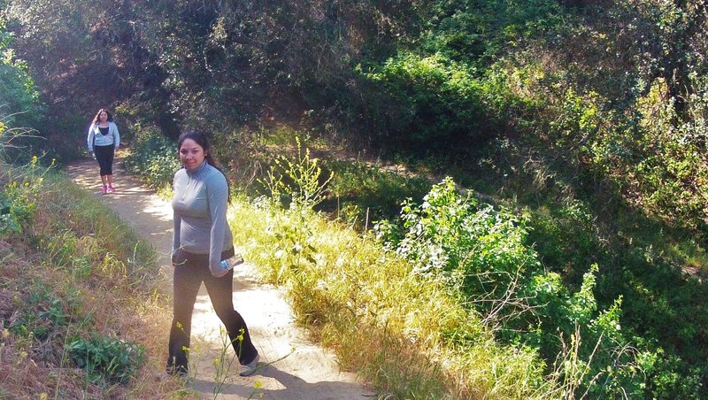 Tree covered switchbacks on Schabarum Trail