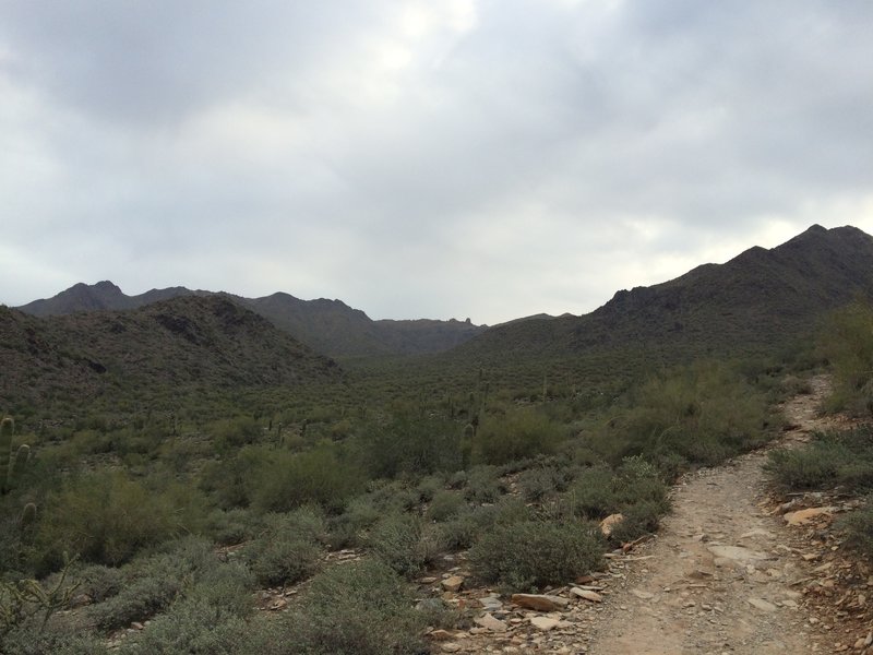 Gateway Loop Trail Hiking Trail, Fountain Hills, Arizona