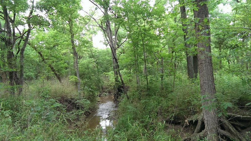 Creek crossing