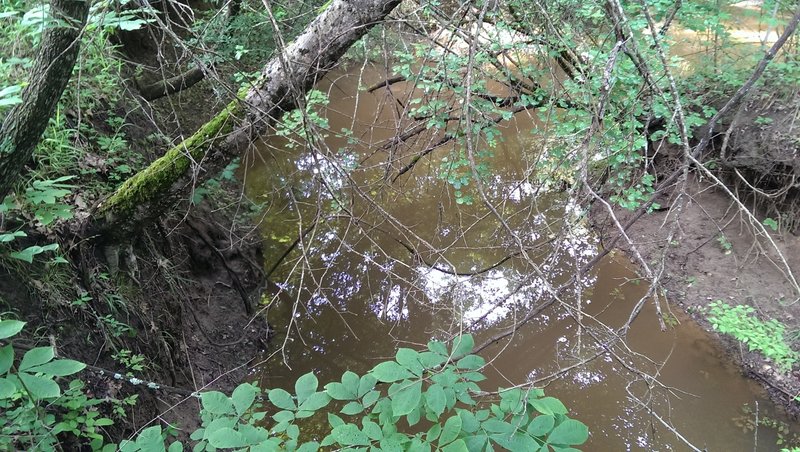 Peering down from the bridge