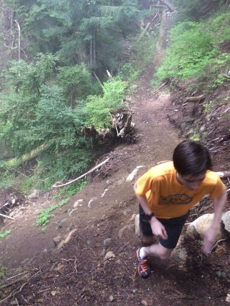 Crossing the gully - make sure to search for the best route down.  Two or three are very dangerous.  The best route is bikeable