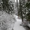 Trail leading to Lava Lake. This is in early May.