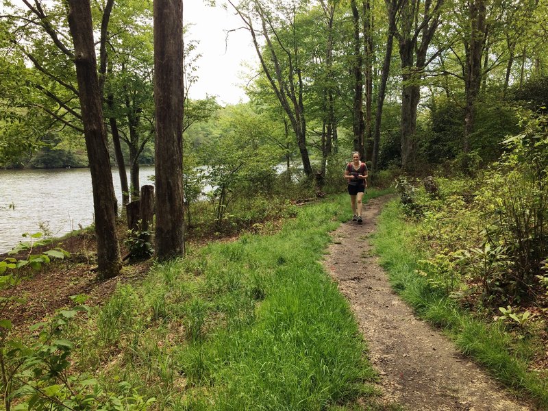 A lakeside clearing along the Price Lake Loop Trail