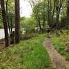 A lakeside clearing along the Price Lake Loop Trail