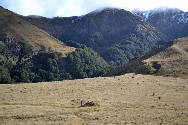 Brow Peak from the Sawpit Gully Loop