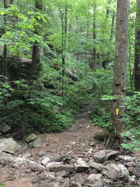 Intersection of Mckay Hollow and Natural Well